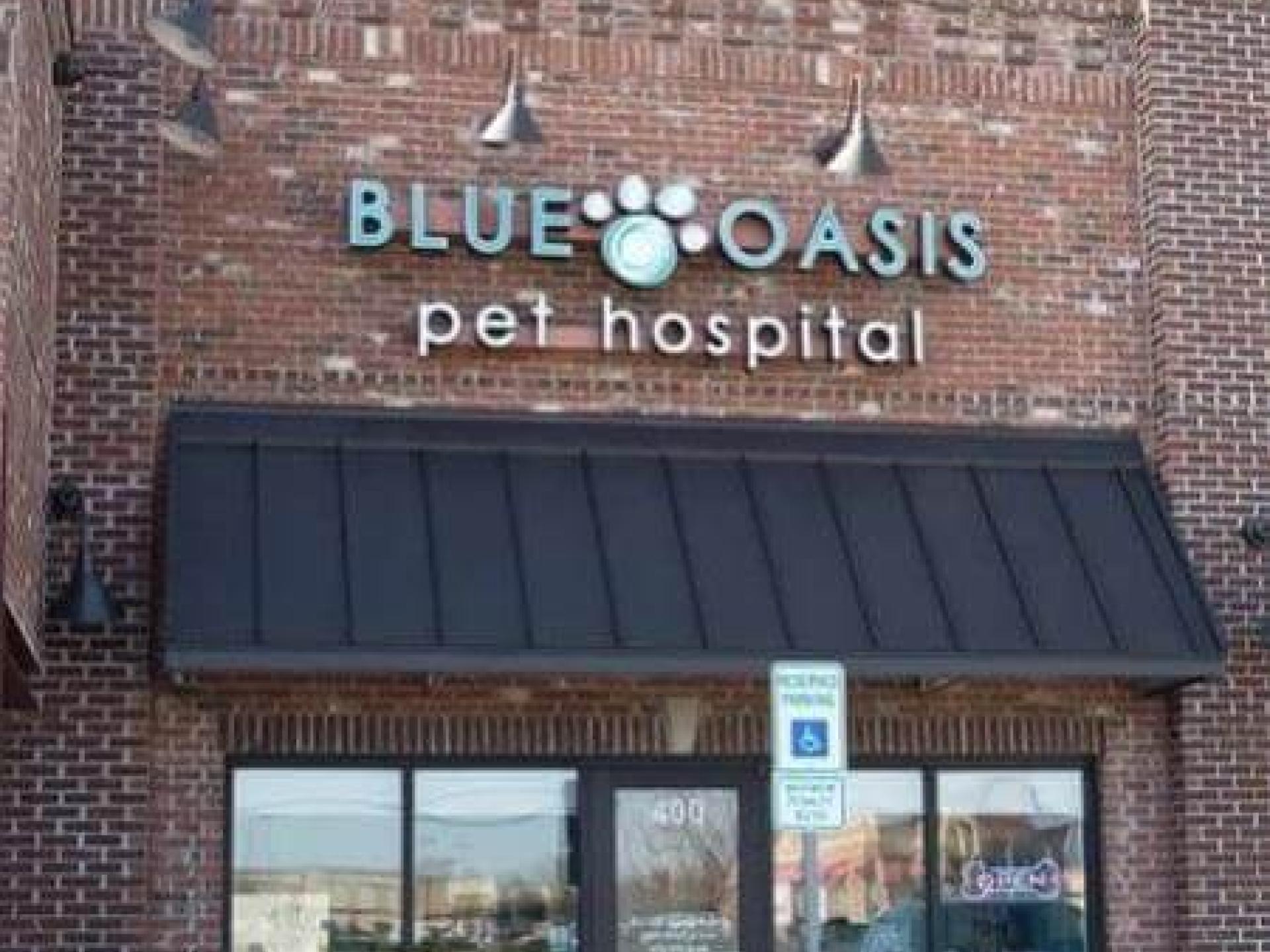 Virtual Tour Blue Oasis Pet Hospital