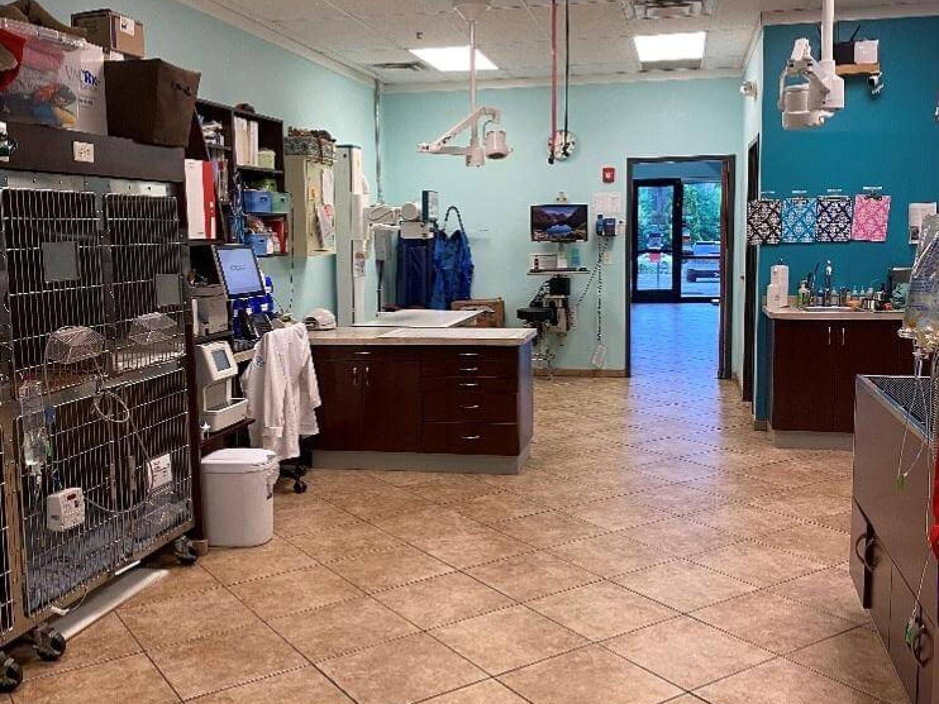 Virtual Tour Blue Oasis Pet Hospital