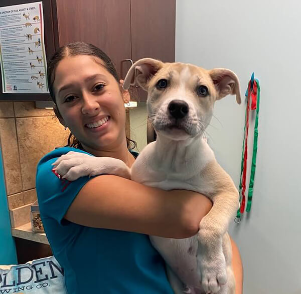 decor image on Blue Oasis Pet Hospital